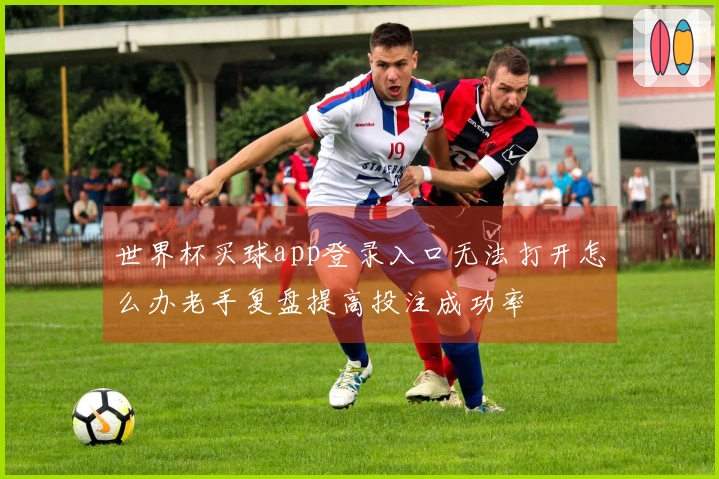 世界杯买球app登录入口无法打开怎么办老手复盘提高投注成功率