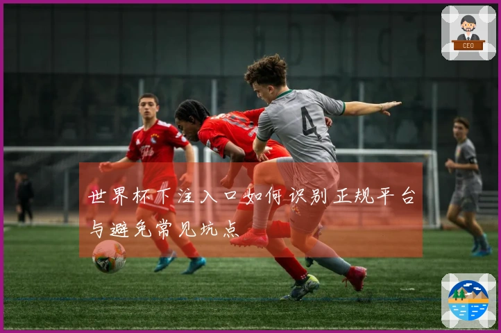 世界杯下注入口如何识别正规平台与避免常见坑点