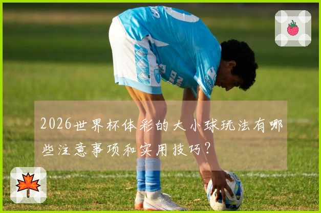 2026世界杯体彩的大小球玩法有哪些注意事项和实用技巧？